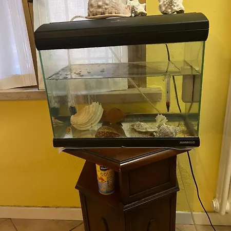 Cozy House Giulia, Wi - Fi , Parking